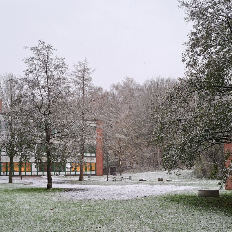 Blick vom Campus: Bäume, ein Gebäude und eine Wise. Alles mit einer leichten Schneeschicht überdeckt.