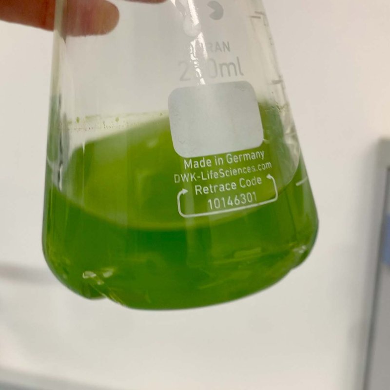 Reagenzglas mit grüner Flüssigkeit. Es wird von einer Hand gehalten.