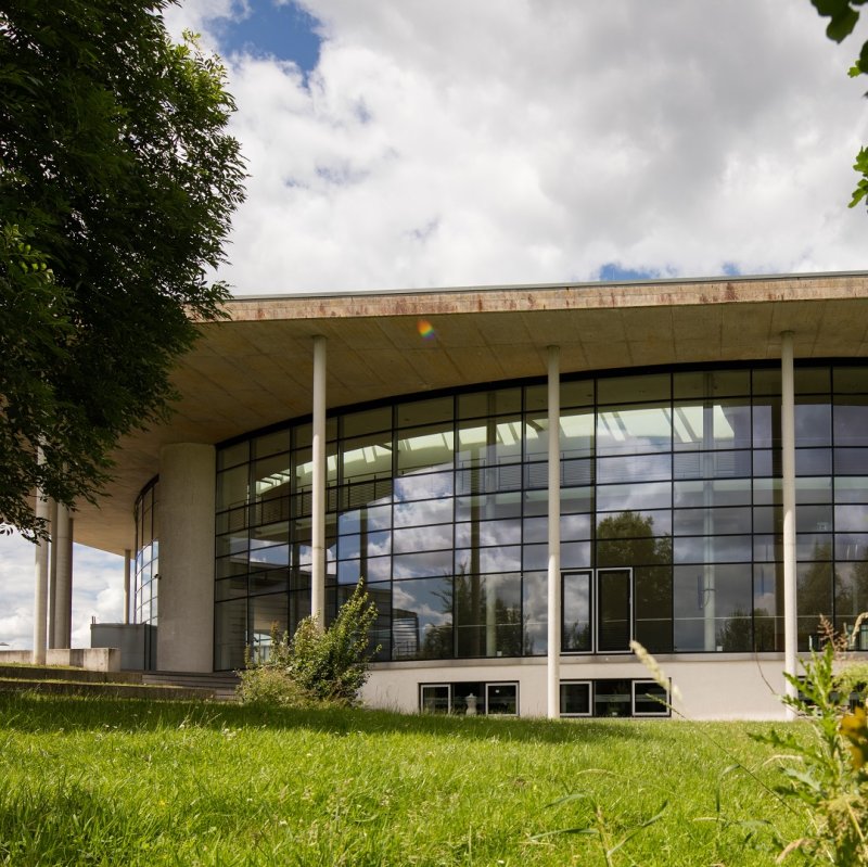 Das Audimax der Hochschule Flensburg: Ein moderner Bau mit Glasfassade und dreieckigem Flachdach, im Vordergrund eine grüne Wiese und ein Busch mit gelben Blüten.