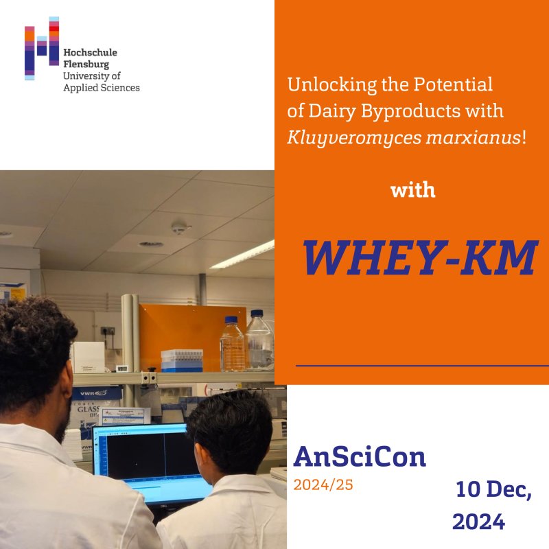 Zwei junge Männer in Laborkitteln in einem Laborraum blicken auf einen Bildschirm, daneben Text: Unlocking the Potential  of Dairy Byproducts with  Kluyveromyces marxianus! with WHEY-KM