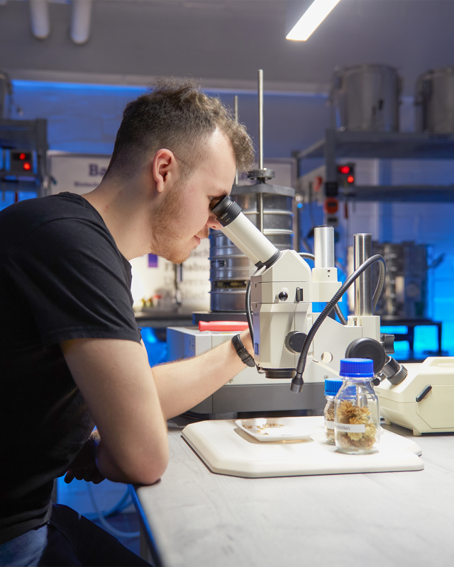 Ein Student im schwarzen T-Shirt sitzt  in einem Laborraum an einem Tisch und blickt durch ein Mikroskop.