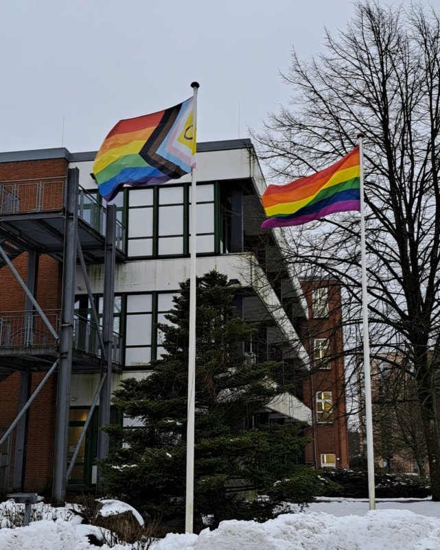Foto von zwei Fahnenmasten mit Regenbogen-Flaggen vor einem Gebäude der Hochschule Flensburg im Schnee.