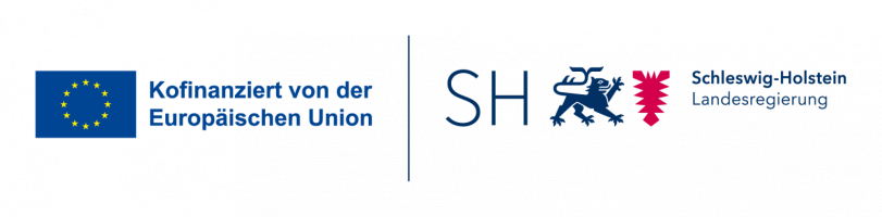 Flagge der Europäischen Union und Logo des Landes Schleswig-Holstein, dazu Text: Kofinanziert von der Europäischen Union - Schleswig-Holstein Landesregierung