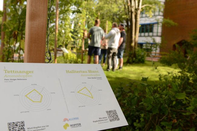 Hopfenlehrgarten