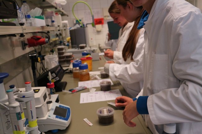 Die Hochschule Flensburg machte mit bei der „MINT-Woche Schleswig-Holstein“: Schüler*innen erhielten spannende Einblicke in die Labore.