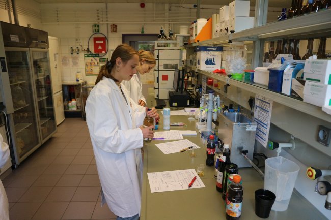 Die Hochschule Flensburg machte mit bei der „MINT-Woche Schleswig-Holstein“: Schüler*innen erhielten spannende Einblicke in die Labore.