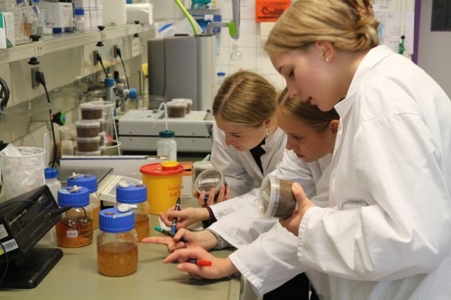 Die Hochschule Flensburg machte mit bei der „MINT-Woche Schleswig-Holstein“: Schüler*innen erhielten spannende Einblicke in die Labore.