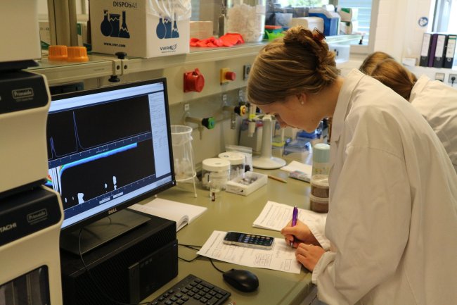 Die Hochschule Flensburg machte mit bei der „MINT-Woche Schleswig-Holstein“: Schüler*innen erhielten spannende Einblicke in die Labore.