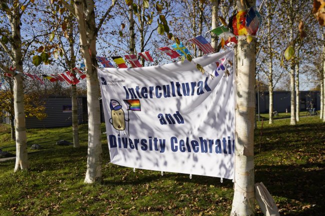 Intercultural and Diversity Day