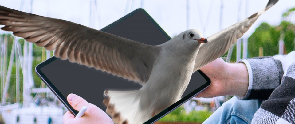 Ein Tablet wird vor maritimer Kulisse gehalten. Aus dem Tablet heraus fliegt eine Möwe auf uns zu.