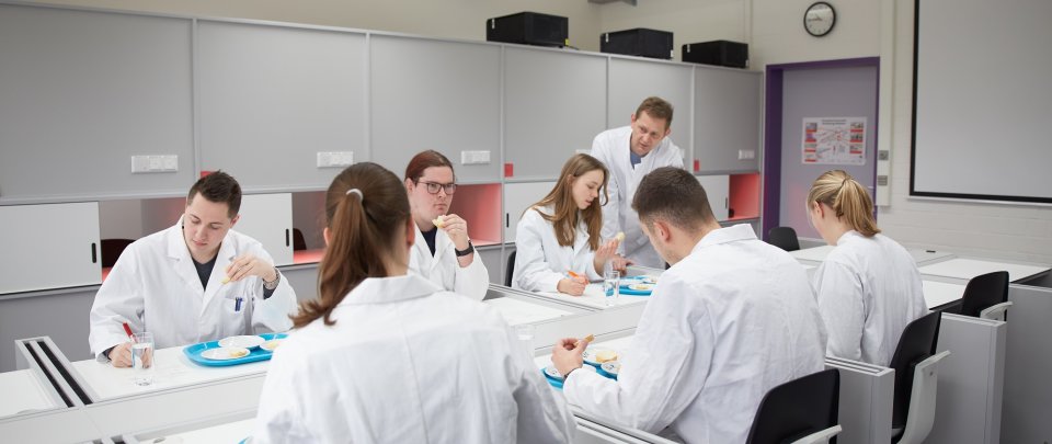 In einem Laborraum sitzt eine Gruppe von Studierenden in Laborkitteln an Arbeitsplätzen, probiert verschiedene Lebensmittel und macht Notizen dazu. Ein Professor steht dabei und spricht mit den Studierenden.