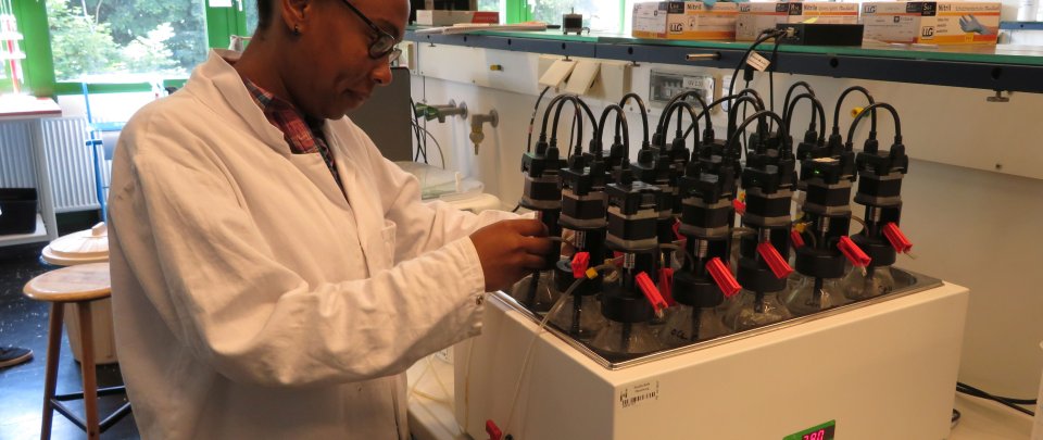 Biotreibstofflabor