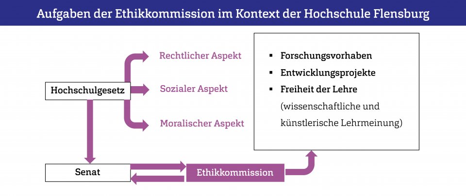Grafische Darstellung der Aufgaben der Ethikkommssion.