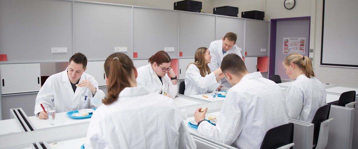 Gruppe Studierender um einen Labortisch, sie führen Geschmakstest durch. Am Rand der Dozent im Gespräch mit einer Studentin.