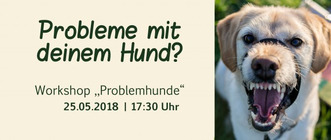 Problemhunde