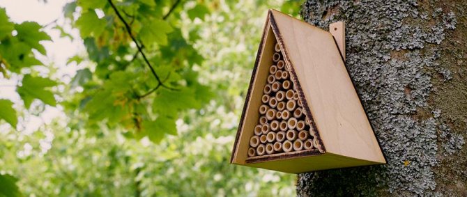 TILFLUGT – a species-appropriate insect hotel 