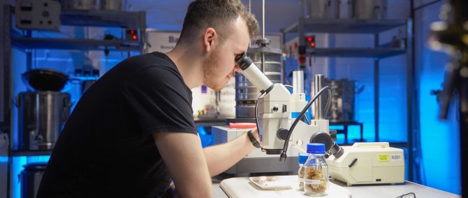 Green Engineering-Studium mit Stipendium: Ein junger Mann sitzt im Labor und arbeitet am Mikroskop.