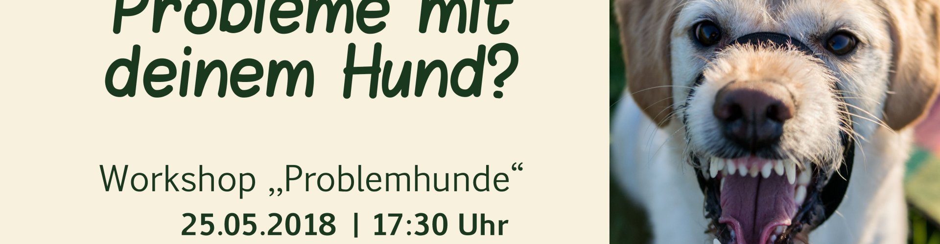 Problemhunde