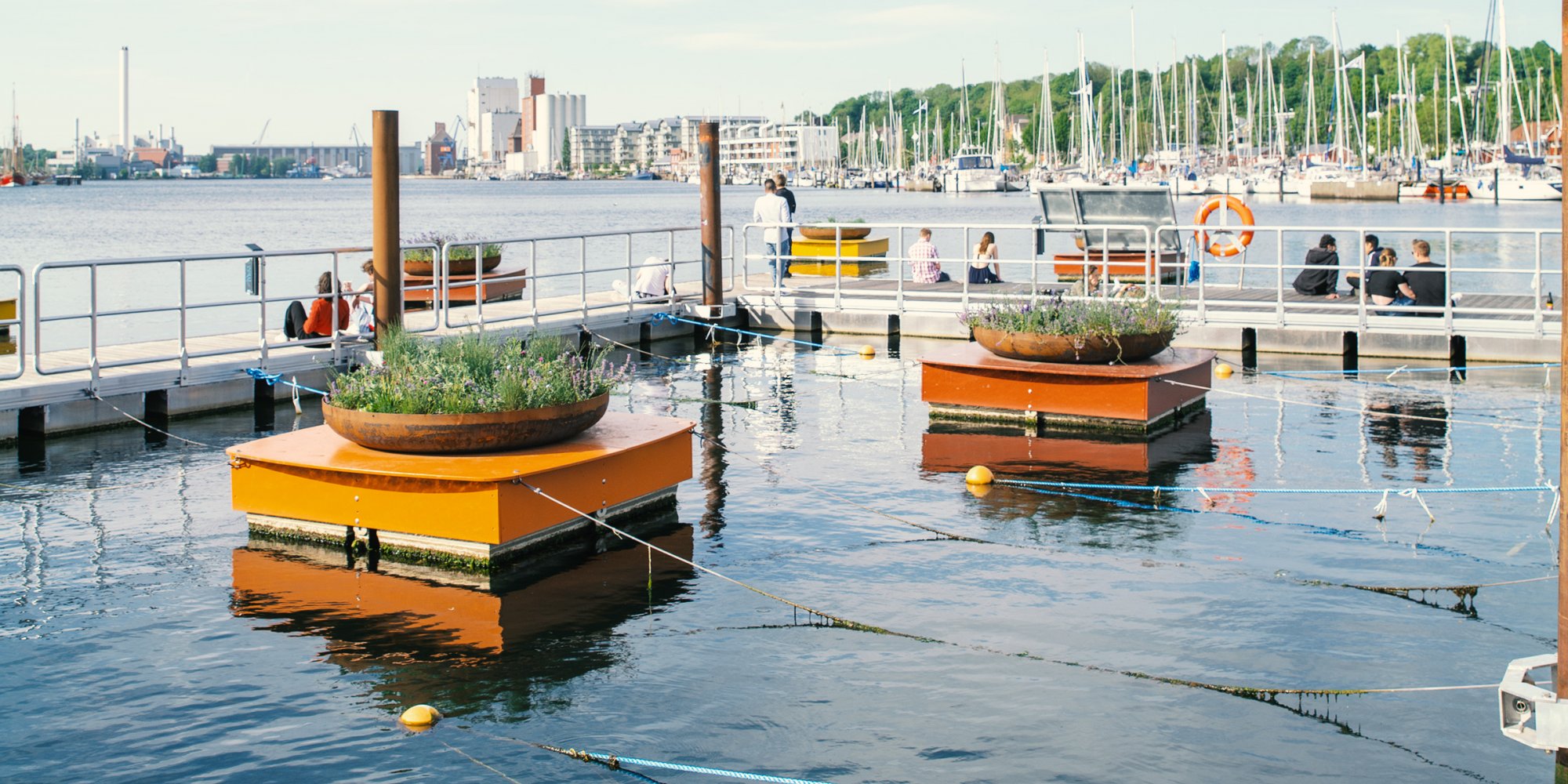 Zwei schwimmende orangene Blumeninseln im Hafen