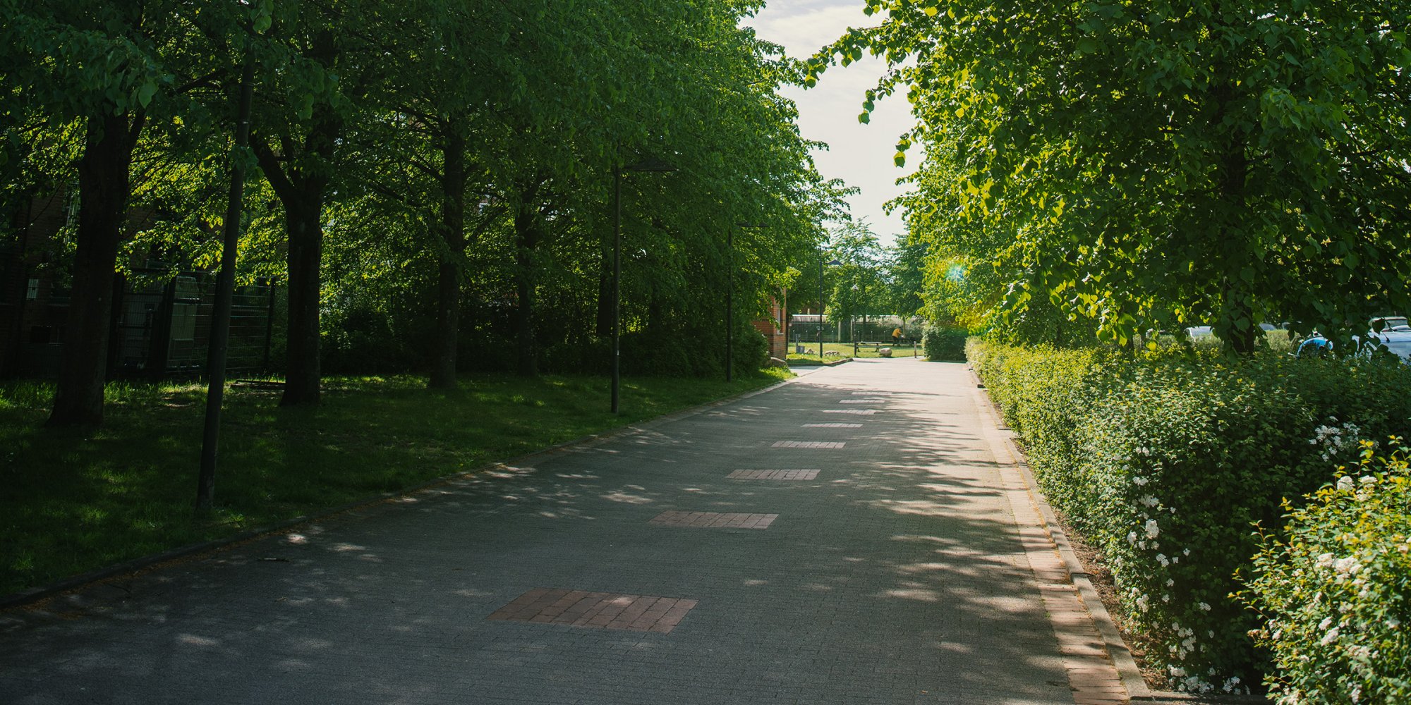 Eine Straße mit Baümen am Rand